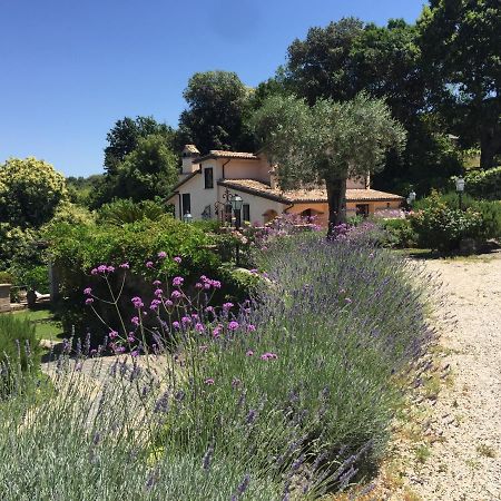 Olivella Βίλα Campagnano Di Roma Εξωτερικό φωτογραφία