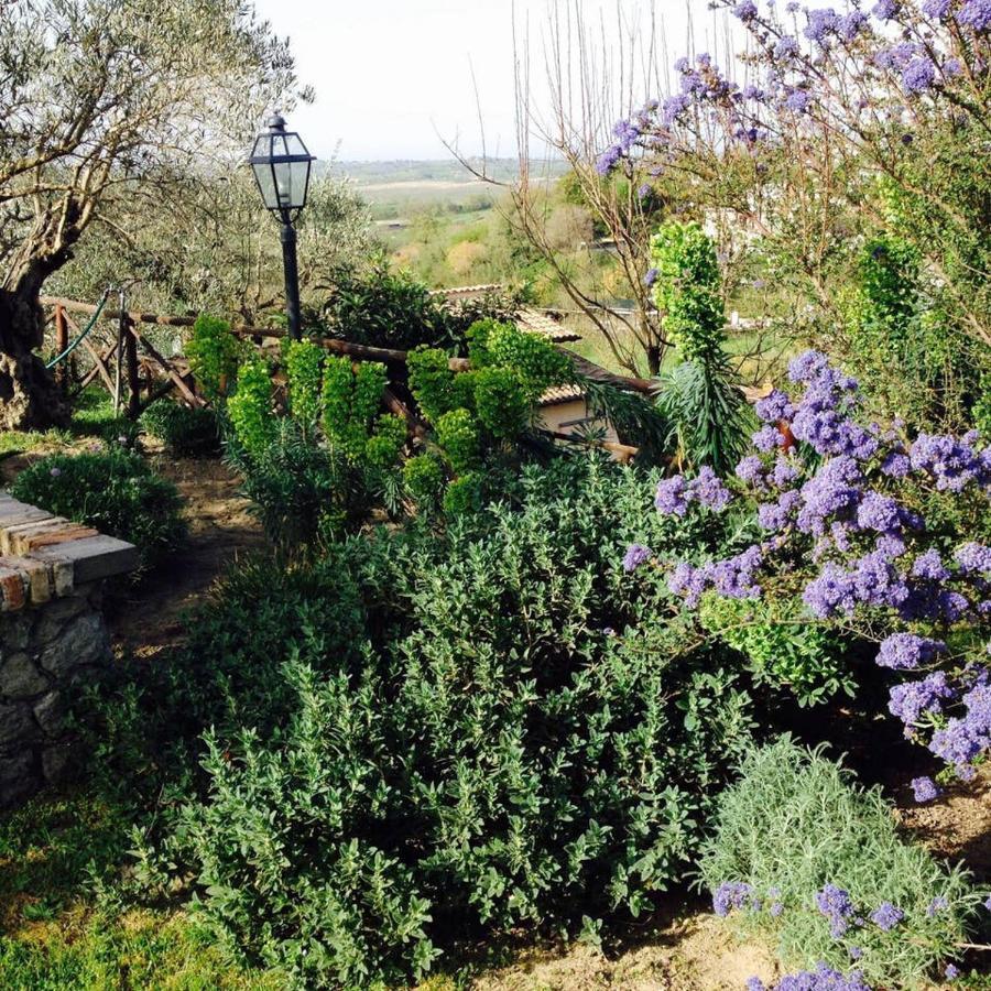 Olivella Βίλα Campagnano Di Roma Εξωτερικό φωτογραφία