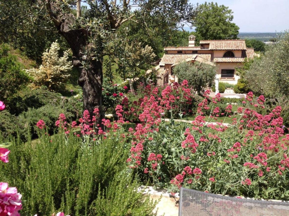 Olivella Βίλα Campagnano Di Roma Εξωτερικό φωτογραφία