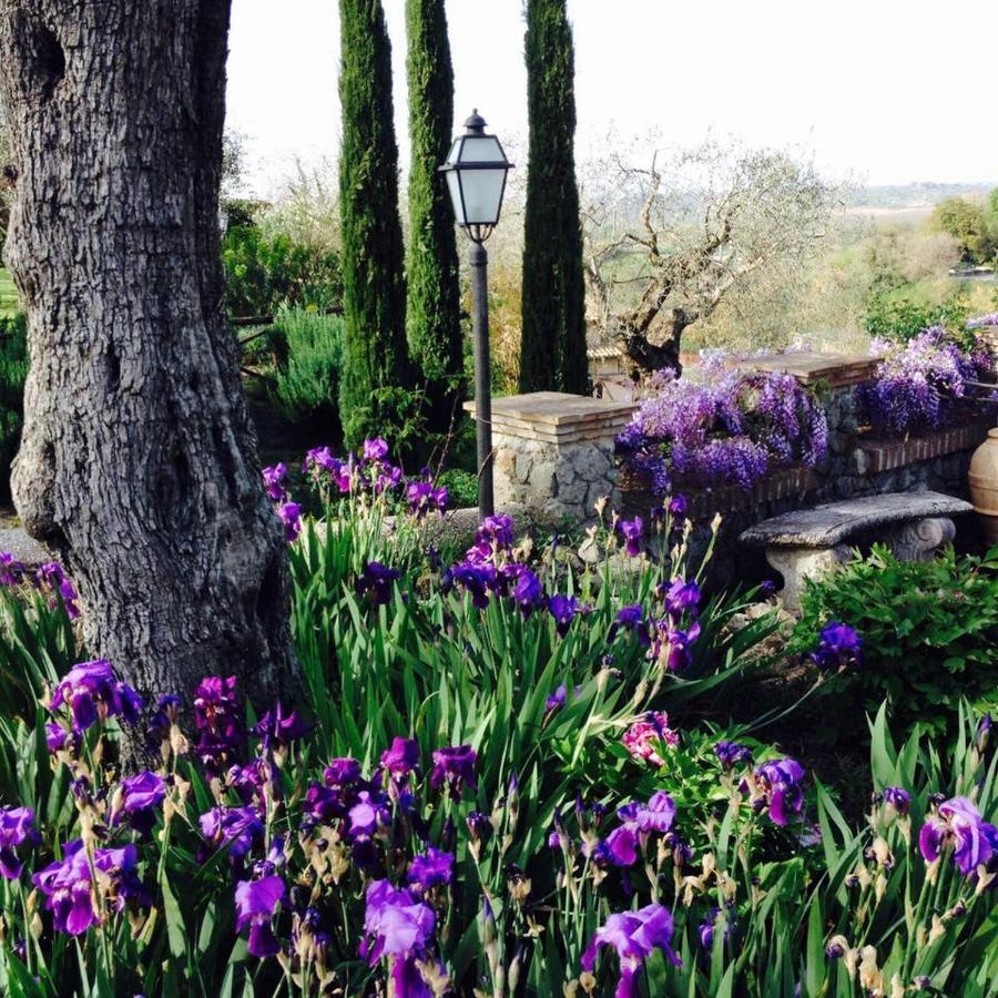 Olivella Βίλα Campagnano Di Roma Εξωτερικό φωτογραφία